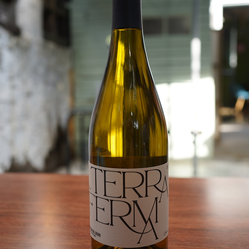 Chardonnay Terra Ferma