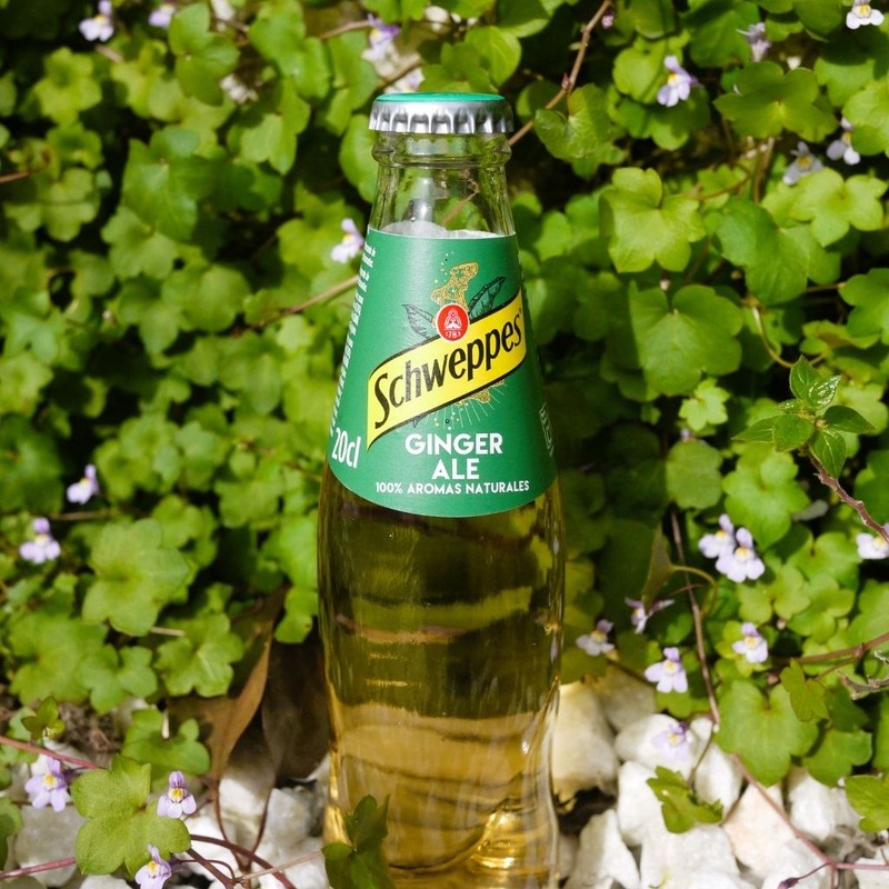 Ginger Ale 200ml