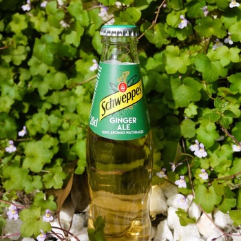 Ginger Ale 200ml
