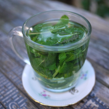 Mint Tea