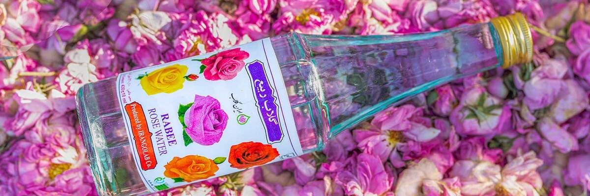 Aigua de Roses: Destil·lant els Records de la Primavera